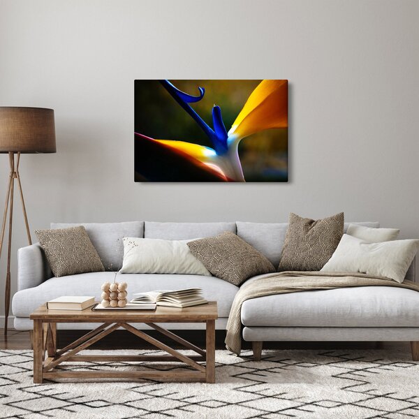 Kép - Egzotikus virág (90x60 cm)