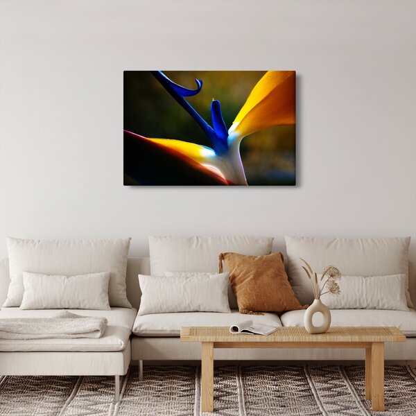 Kép - Egzotikus virág (90x60 cm)