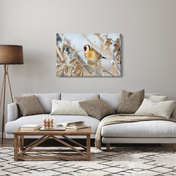 Kép - Aranypinty (90x60 cm)