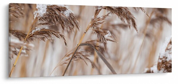 Kép - Lipnica (120x50 cm)