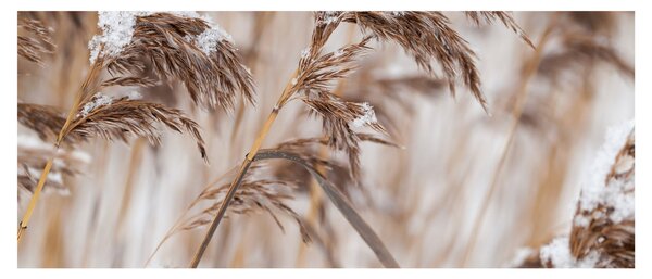 Kép - Lipnica (120x50 cm)