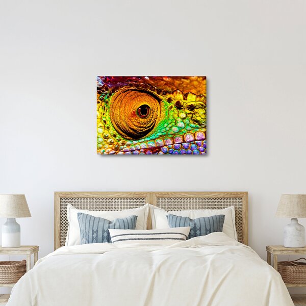 Kép - Kaméleon (70x50 cm)