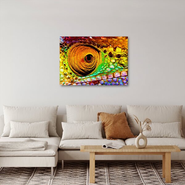 Kép - Kaméleon (70x50 cm)