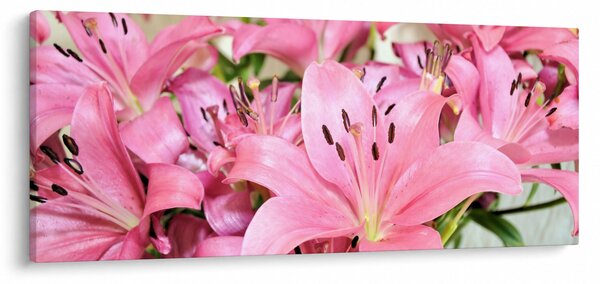 Kép - Rózsaszín liliomok (120x50 cm)