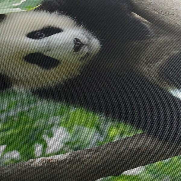 Kép - Panda a fán (120x50 cm)
