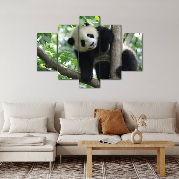 Kép - Panda a fán (150x105 cm)