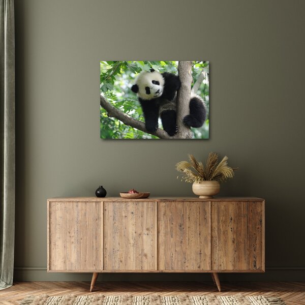 Kép - Panda a fán (70x50 cm)