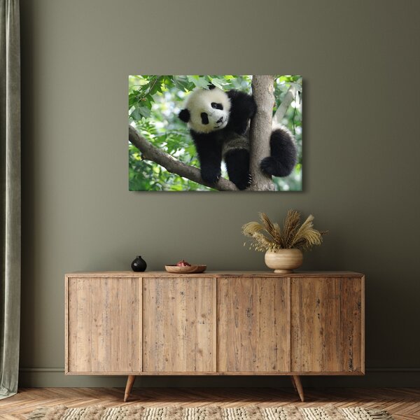 Kép - Panda a fán (90x60 cm)