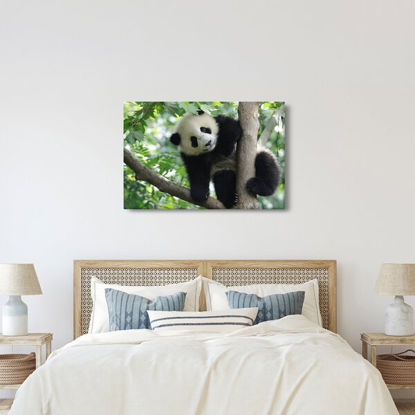 Kép - Panda a fán (90x60 cm)