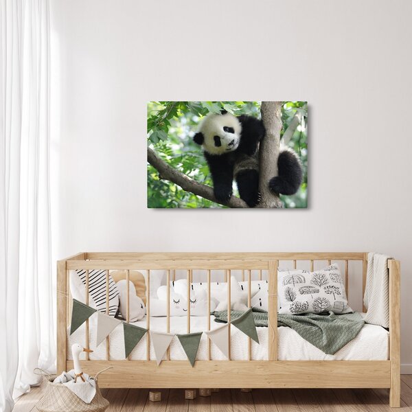 Kép - Panda a fán (90x60 cm)