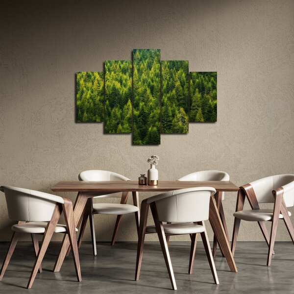 Kép - sűrű erdő (150x105 cm)