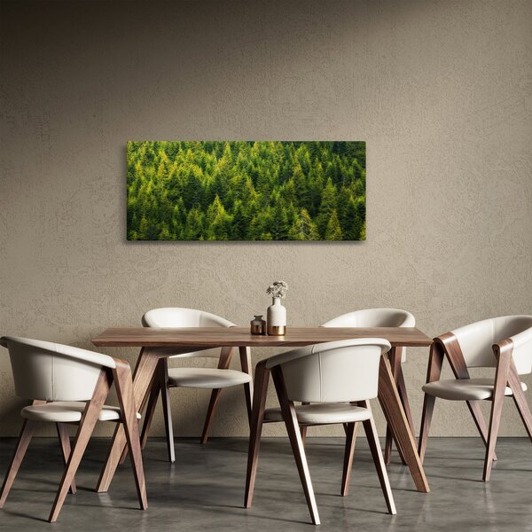 Kép - sűrű erdő (120x50 cm)