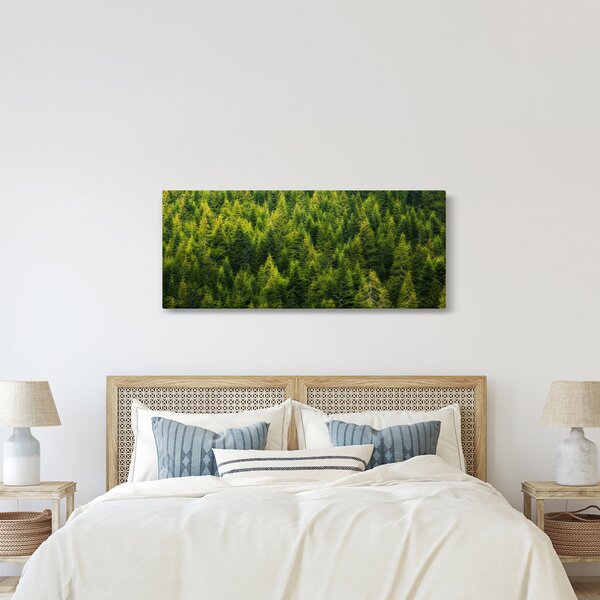Kép - sűrű erdő (120x50 cm)