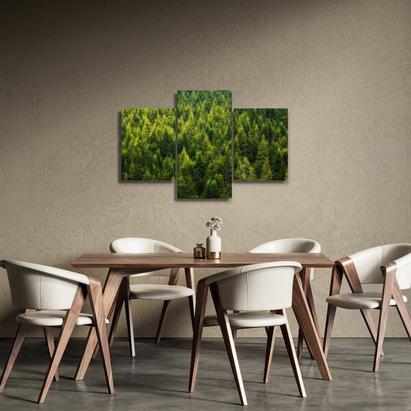Kép - sűrű erdő (90x60 cm)