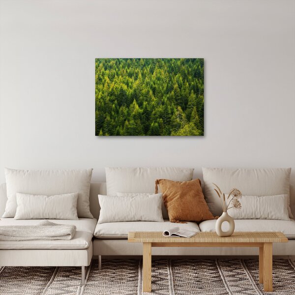 Kép - sűrű erdő (70x50 cm)