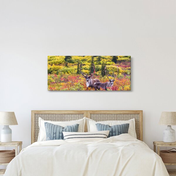 Kép - Caribou, Alaszka (120x50 cm)