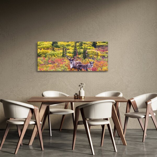 Kép - Caribou, Alaszka (120x50 cm)