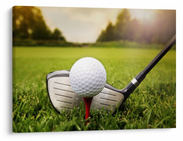 Kép - Golf (70x50 cm)