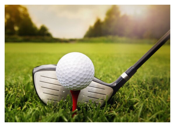 Kép - Golf (70x50 cm)