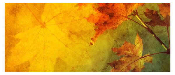 Kép - Őszi levelek (120x50 cm)