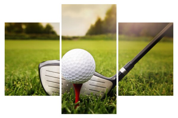 Kép - Golf (90x60 cm)