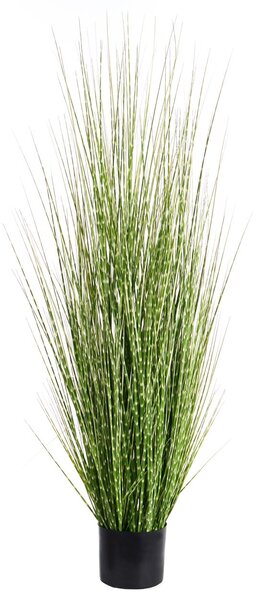Műnövény ZEBRA GRASS 120 cm Zöld