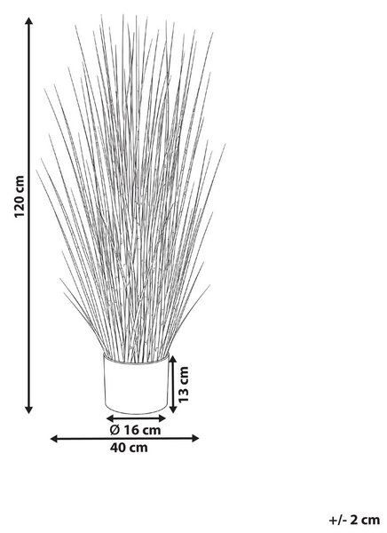 Műnövény ZEBRA GRASS 120 cm Zöld