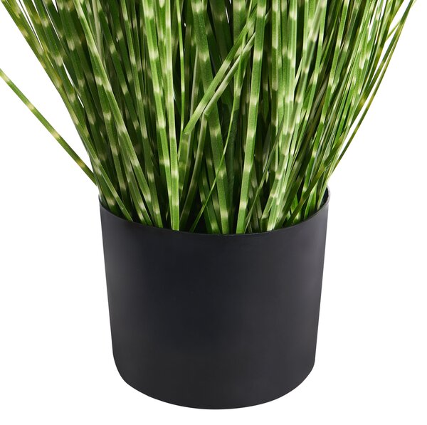 Műnövény ZEBRA GRASS 120 cm Zöld