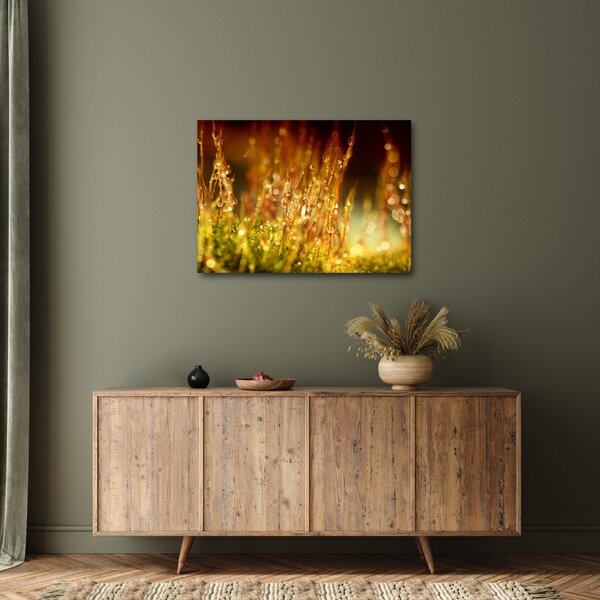 Kép - Harmat részlete (70x50 cm)