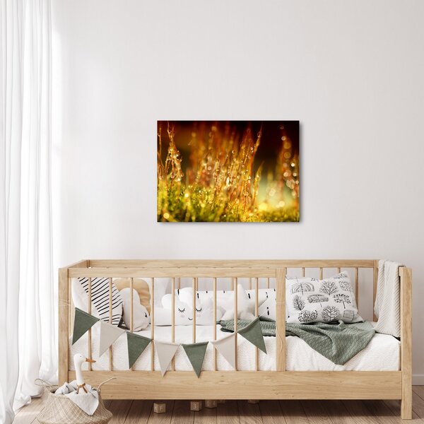 Kép - Harmat részlete (70x50 cm)