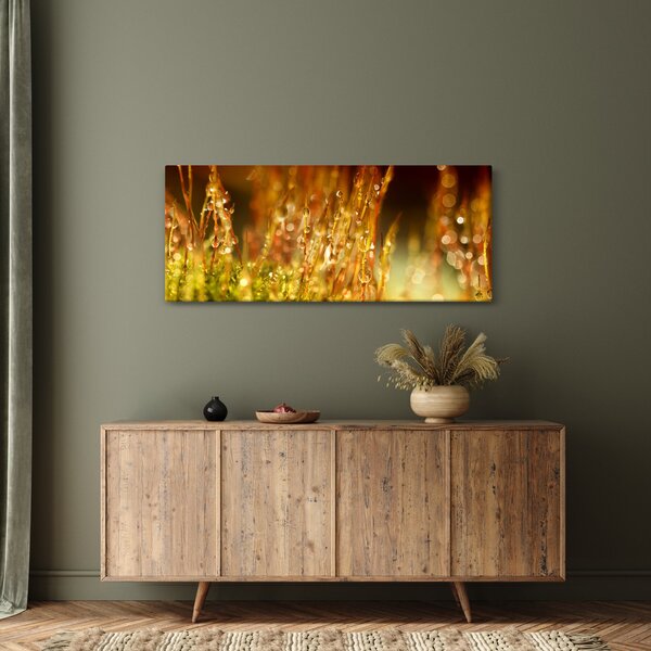 Kép - Harmat részlete (120x50 cm)