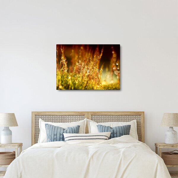 Kép - Harmat részlete (70x50 cm)
