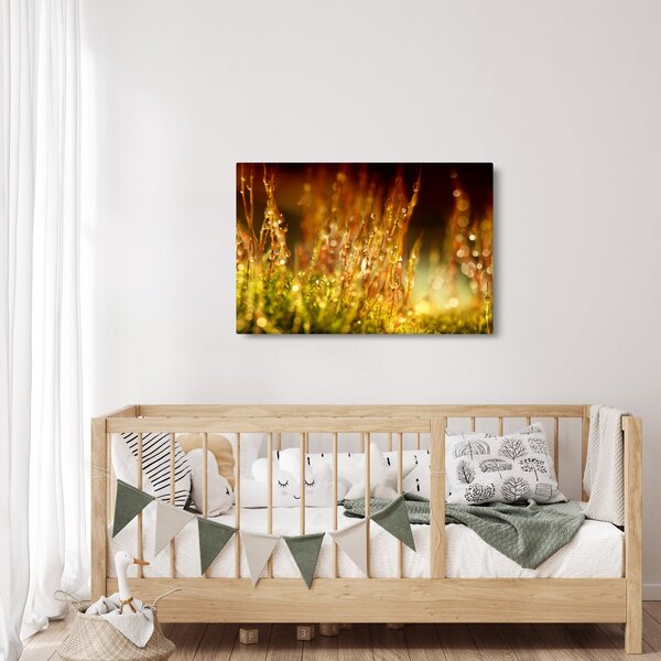 Kép - Harmat részlete (90x60 cm)