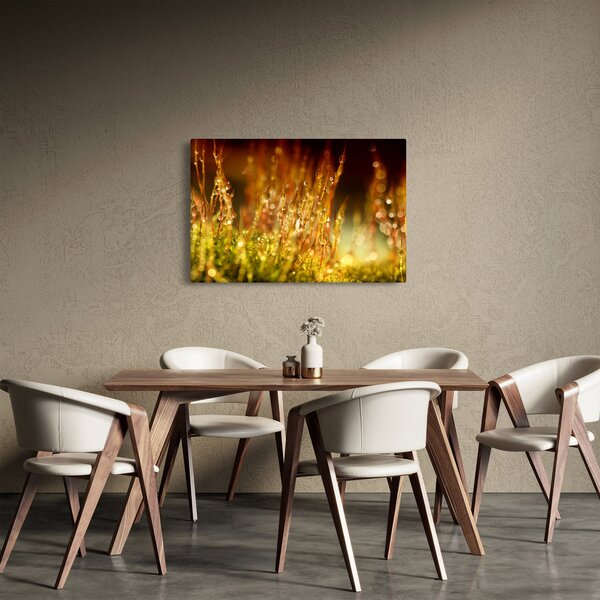 Kép - Harmat részlete (90x60 cm)