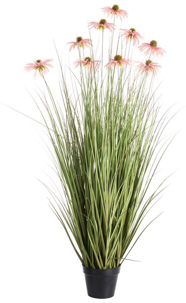 Műnövény RUDBEKDARIUM 120 cm Rózsaszín