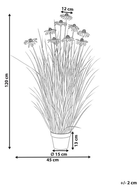 Műnövény RUDBEKDARIUM 120 cm Rózsaszín