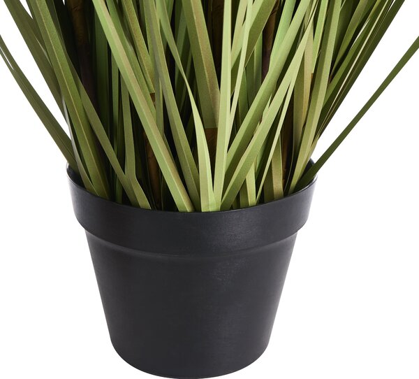 Műnövény RUDBEKDARIUM 120 cm Rózsaszín