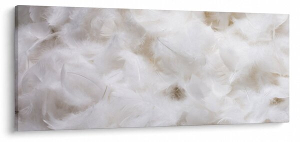 Kép - Fehér tollak (120x50 cm)