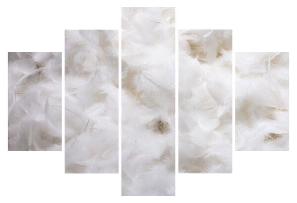 Kép - Fehér tollak (150x105 cm)
