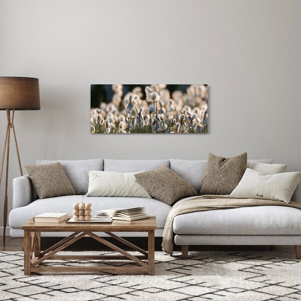 Kép - Keskenylevelű gyapjúsás (120x50 cm)