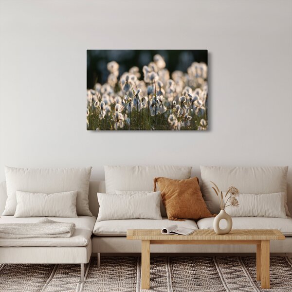 Kép - Keskenylevelű gyapjúsás (90x60 cm)