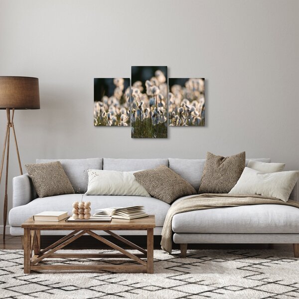 Kép - Keskenylevelű gyapjúsás (90x60 cm)