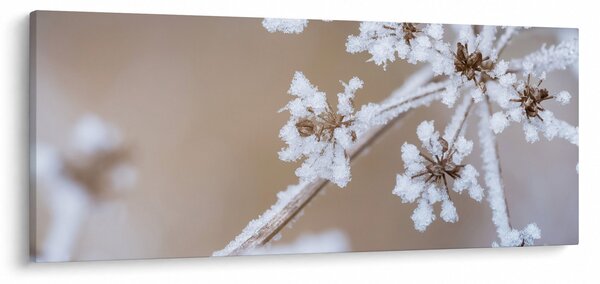 Kép - Fagy (120x50 cm)