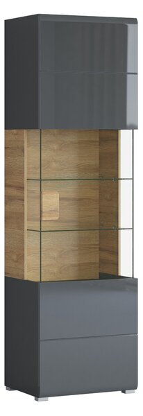Könyvespolc Torsone 103, Zárt, Ajtókkal, Üveg, Laminált forgácslap, 204x61x39cm, Antracit, Fényes antracit, Grandson tölgy