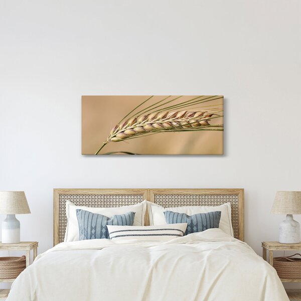 Kép - Búza (120x50 cm)