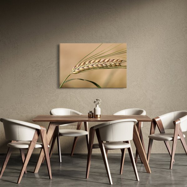 Kép - Búza (90x60 cm)