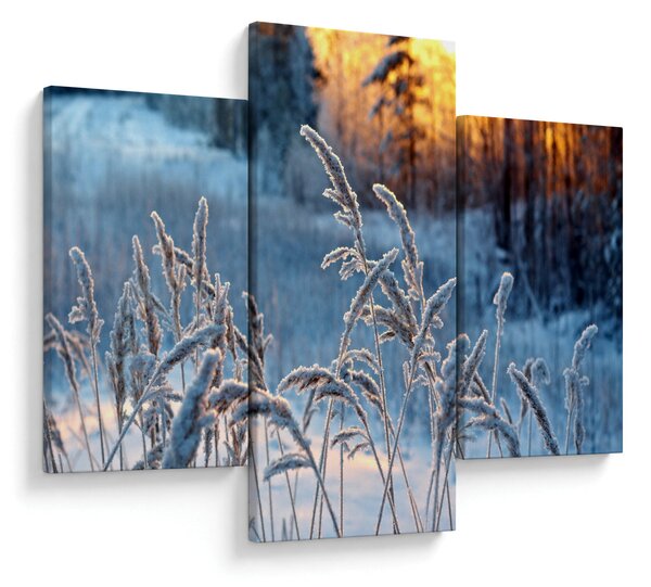 Kép - Téli rét (90x60 cm)