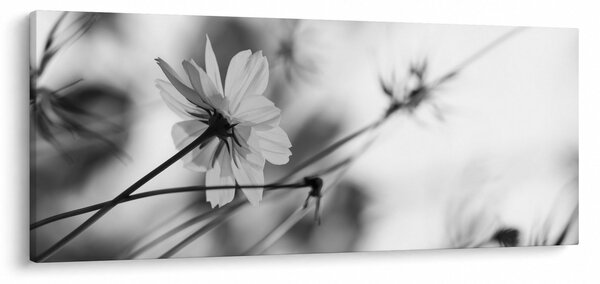 Kép - Fekete-fehér virágok (120x50 cm)