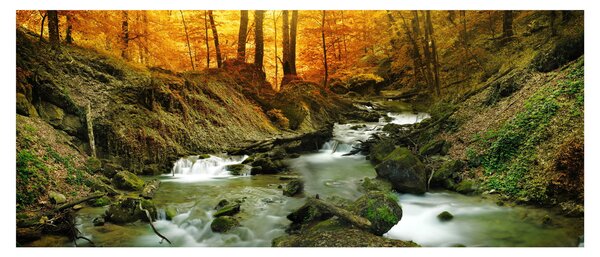 Kép - Erdő (120x50 cm)