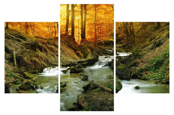 Kép - Erdő (90x60 cm)